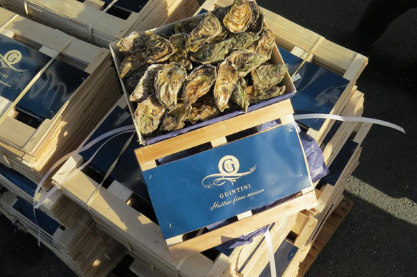 Producteur huitre à Marennes-Oléron