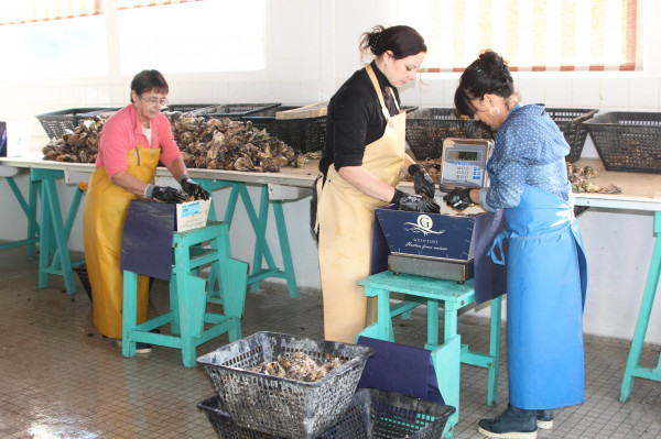Fournisseur huitres à Nord-Pas-de-Calais